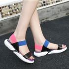 Color Strap Sandals