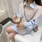 Pinstriped Shirt / Distressed Sweater Vest / Set