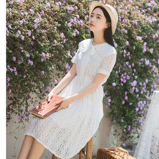 Collared Short Sleeve Lace Midi Dress