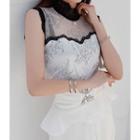 Stand-collar Sleeveless Tulle Lace Blouse