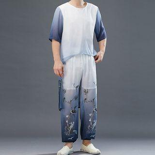 Set: Sheer Short-sleeve T-shirt + Pants