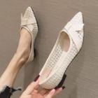 Pointy-toe Embroidered Mesh Panel Flats