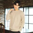 Crew-neck Raglan-sleeve Rib-knit Sweater