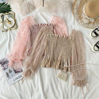 Long-sleeve Mesh Paneled Cropped Velvet Top