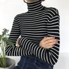 Striped Turtle-neck Long-sleeve Slim-fit Knit Top