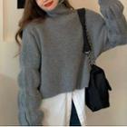 Turtle Neck Sweater / Long-sleeve Shirt