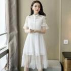 Set: Short-sleeve Midi Mesh Dress + Belt
