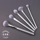 Set Of 5: Makeup Brush Set Of 5 Pcs - Silver - One Size