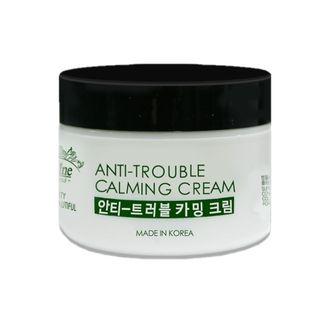 Accine - Anti-trouble Calming Cream 50g