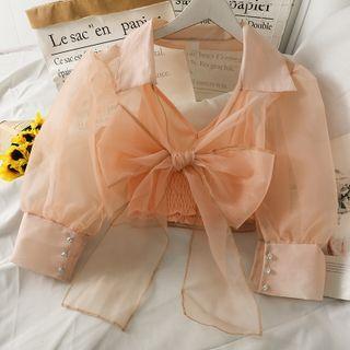 Ribbon Sheer Mesh Crop Shirt