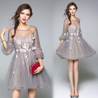 Applique Mesh Panel A-line Dress