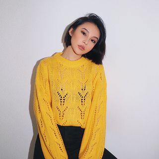 Eyelet Crop Sweater