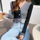 Color Block Cropped Cardigan Blackish Gray - One Size