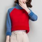 Turtleneck Raglan Sweater