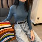 Turtle Neck Long-sleeve Knit Top