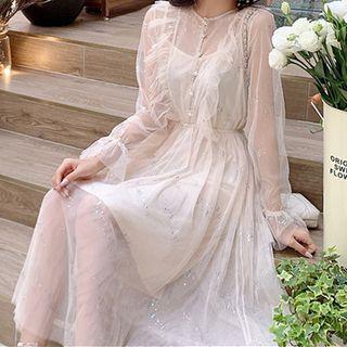 Ruffled Long-sleeve Midi A-line Mesh Dress