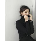 Slim-fit Long-sleeve Turtle-neck T-shirt