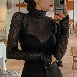 Long-sleeve Sheer Turtleneck Top