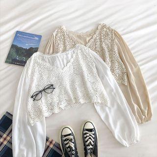 Plain Eyelet-lace V-neck Panel Long-sleeve Top