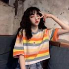 Short-sleeve Floral Embroidered Striped T-shirt / Tank Top