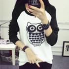Owl Print Raglan Long-sleeve T-shirt