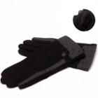 Fleece-lined Panel Wool Gloves