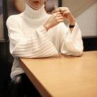Turtle-neck Wide-sleeve Ribbed Knit Top