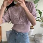 Short Sleeve Crochet Knit Top As Shown In Figure - One Size