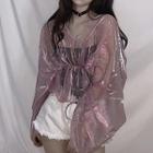 V-neck Long-sleeve Sheer Mesh Top
