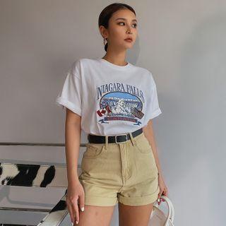 Niagara Falls-embroidered Loose T-shirt