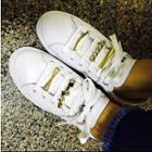 Shoe Lace Accessory