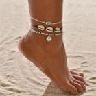 Set: Shell / Coin String Anklet (assorted Designs) As Shown In Figure - One Size