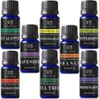 Set Of 8: Aromatherapy Top 8 Essential Oil Set 8pcs X 10ml (0.33 Fl Oz)