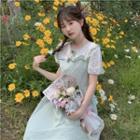 Short-sleeve Eyelet Panel Midi Dress