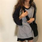 Long-sleeve Raglan T-shirt Gray & Blue - One Size