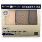 Kanebo - Media Grade Color Eyeshadow (#br-03) 3.5g
