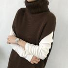 Turtle-neck Sleeveless Wool Blend Sweater Dress