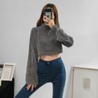Turtleneck Loose-fit Crop Sweater