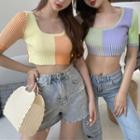 Contrast Color Short-sleeve Knit Cropped Top