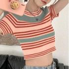 Short-sleeve Striped Knit Crop Top Stripes - Gray & Pink - One Size