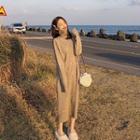 Plain Turtleneck Long Dress