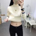 Mock-neck Cable Knit Top