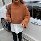 Long-sleeve Plain Cropped Knit Sweater / Long-sleeve Plain Shirt