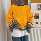 Turtle-neck Color-panel Sweater