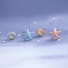Starfish & Shell Sterling Silver Earring