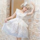 Sleeveless Swan Print Mesh A-line Dress