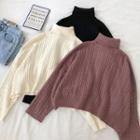 Plain Turtle-neck Long-sleeve Cable-knit Top