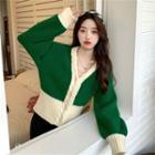 Color-block V-neck Cardigan Green - One Size