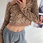 Leopard Print Knit Polo Shirt