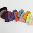 Rib Knit Beanie In 12 Colors